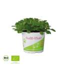 Golli-Thek® Ackersalat